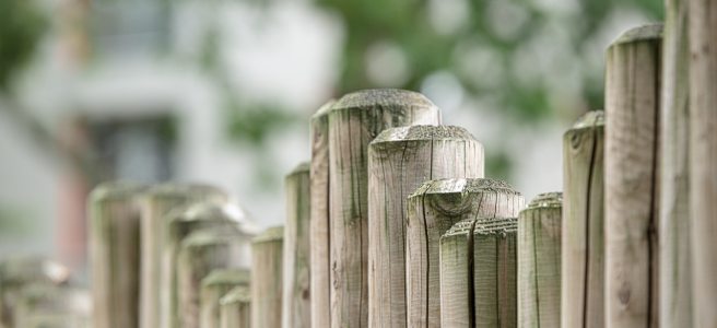 wooden fence posts