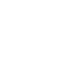 icon representing the logo for LinkedIn